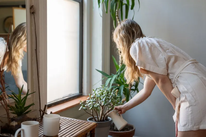 Green Thumbs and Good Guests: How Plant Care Became a Love Language in Homestays